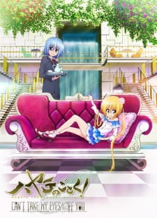 Poster for Hayate no Gotoku! Can't Take My Eyes Off You