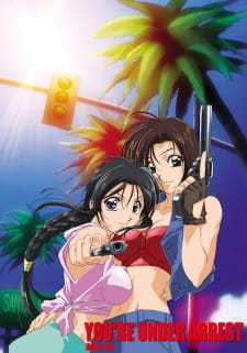 Poster for Taiho Shichau zo in America