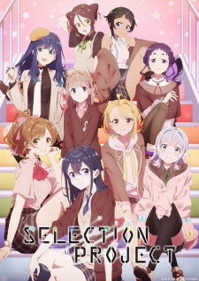 Poster for Selection Project