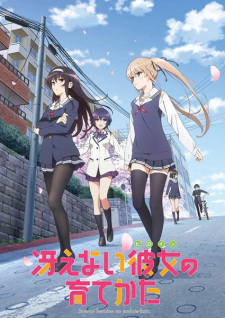 Poster for Saenai Heroine no Sodatekata