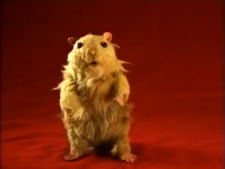 Poster for Hamster Sam