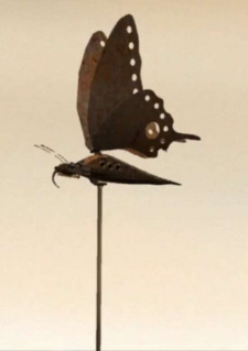Poster for Lost Butterfly