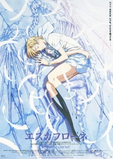 Poster for Escaflowne