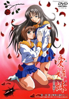 Poster for Ai Shimai: Futari no Kajitsu