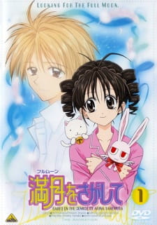 Poster for Full Moon wo Sagashite
