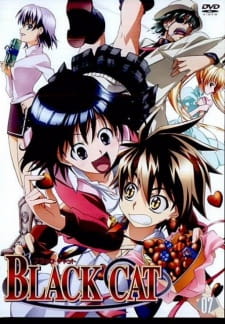 Poster for Black Cat: Toozakaru Neko
