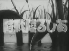 Poster for Ahiru Rikusentai