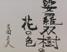Poster for Sarasoujuu no Hana no Iro
