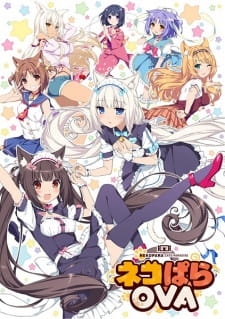 Poster for Nekopara OVA