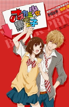 Poster for Ookami Shoujo to Kuro Ouji Recap