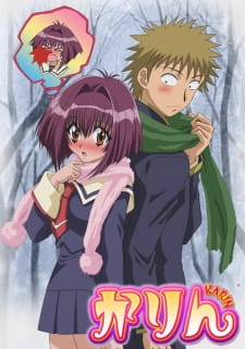 Poster for Karin