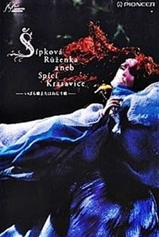 Poster for Ibarahime Mata wa Nemurihime
