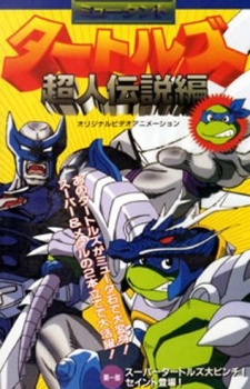 Poster for Mutant Turtles: Choujin Densetsu-hen