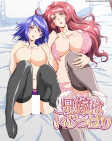 Poster for Aniyome wa Ijippari