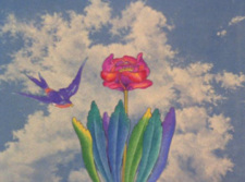 Poster for La Golondrina