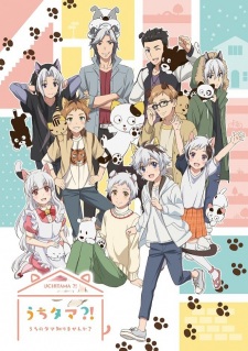 Poster for Uchi Tama?! Uchi no Tama Shirimasen ka?