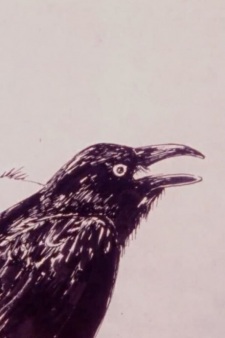 Poster for Karasu